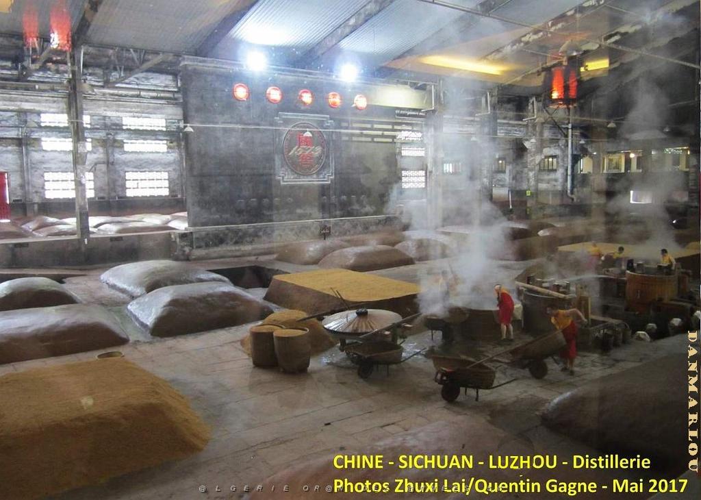 Luzhou 104.JPG